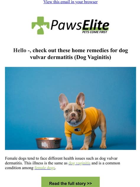 Paws Elite Dog Vulvar Dermatitis Home Remedies Milled
