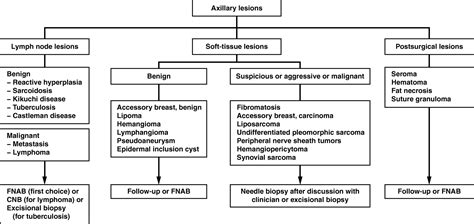 Imaging Pathologic Correlation Of Diseases In The Axilla Ajr