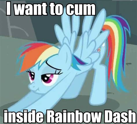 [image 392255] i want to cum inside rainbow dash know your meme