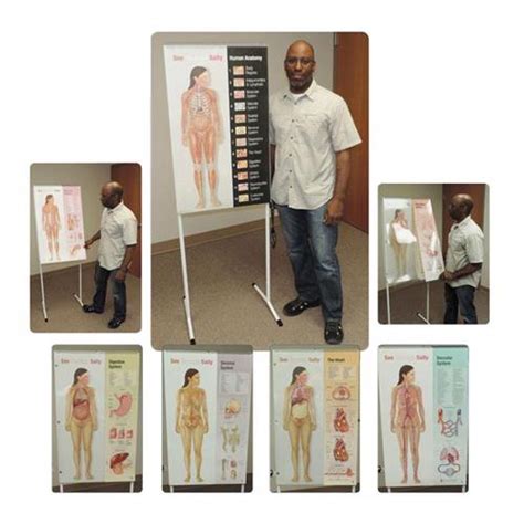 See Through Sally™ Human Anatomy Display