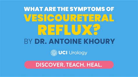 what are the symptoms of vesicoureteral reflux by dr antoine khoury uci department of