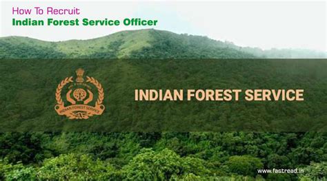 How To Become Indian Forest Service Officer Ifs