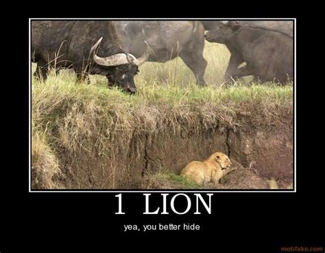 Pin By Renata Hartman On Memes Lion Demotivational Posters Funny