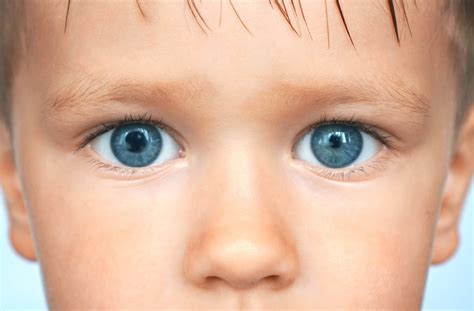 What Is Anisocoria Or Unequal Pupils Iris