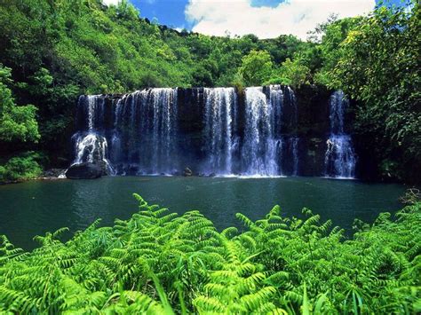 This Is The Most Beautiful Island Kauai Waterfalls Hawaii Waterfalls