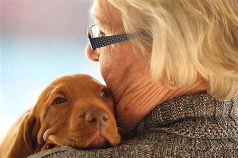 The 8 Best Dog Breeds For Seniors