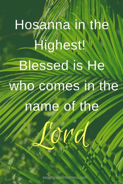 Blessed Is He Who Comes In The Name Of The Lord Life Can Change In An