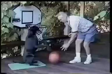 Worlds First Basketball Playing Dog