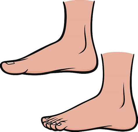 Cartoon Of The Ankle Support Illustrations Royalty Free Vector