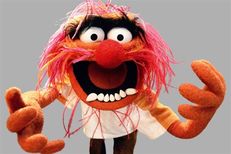 The Muppets Why Its Our New Tv Obsession Todays News Our Take
