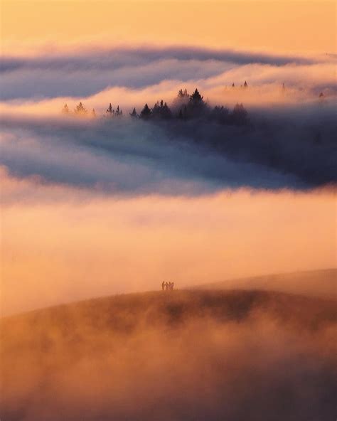 Michael Shainblum Photographer Mount Tamalpais State Park