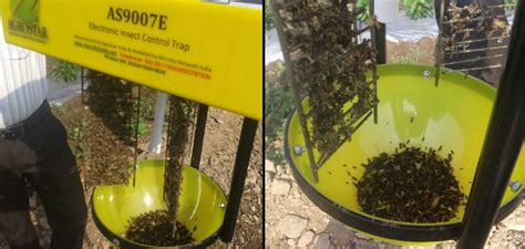 Integrated pest management for greenhouse and nursery insect pests jen bergh technical support specialist turf & ornamentals. Her award winning green technology innovation makes ...