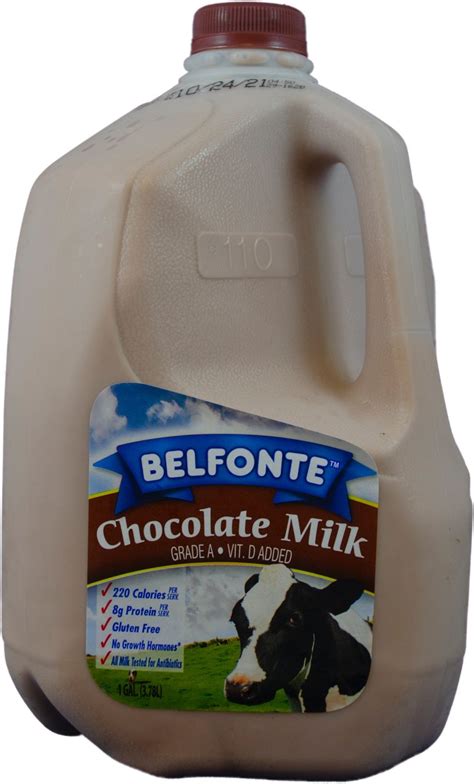 Chocolate Whole Milk Gallon Belfonte Dairy