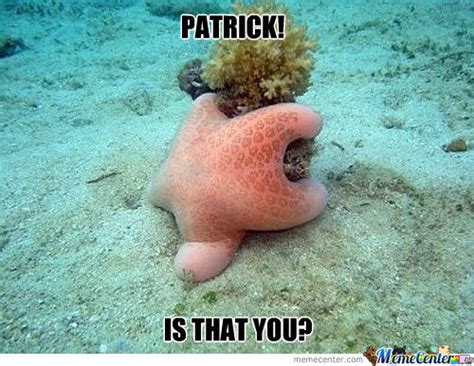 Funniest Surprised Patrick Memes Image Memes At