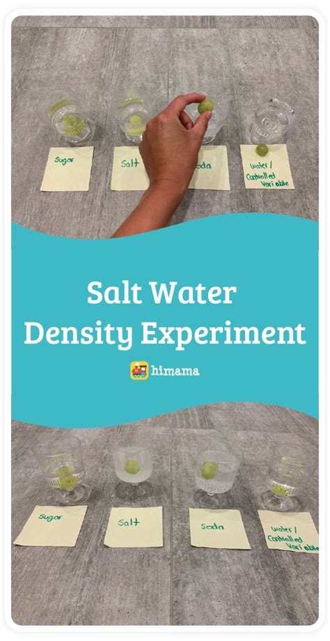 Salt Water Density Experiment Activities Himama Easy Science