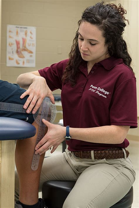 This commission maintains accreditation of 218 physical therapy programs and 309. Requirements For Physical Therapy Assistant Program