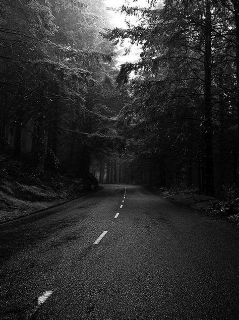 Black And White Photography Forest Road Nature Country Roads