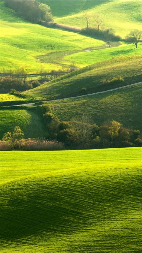 Green Slope Grass Trees Bushes Plants Landscape View Of Road Tuscany 4k