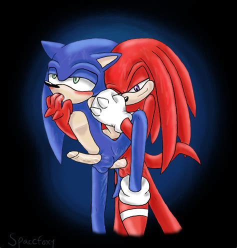 rule 34 anthro echidna fur furry only gloves hedgehog interspecies knuckles the echidna male