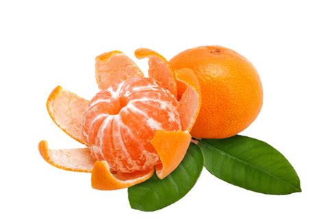 Orange Or Tangerine Png Transparent Background 29200072 Png