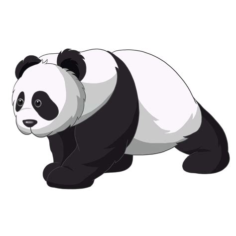 Giant Pandas Png Images Transparent Free Download Pngmart
