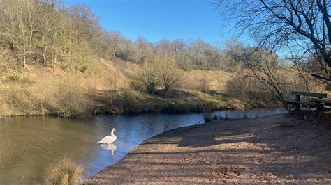 Ryton Pools Country Park Warwickshire Oxfordshire Mummies