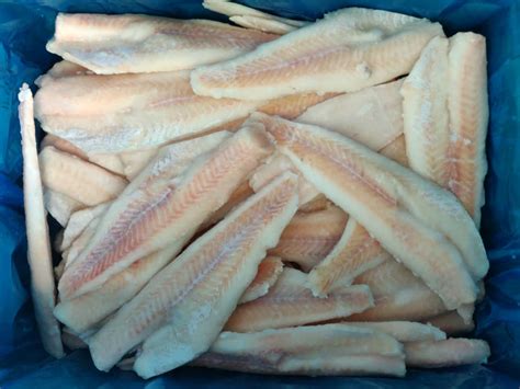Pollock is the name commonly associated with two different species of marine fish, known as pollachius pollachius and pollachius virens , respectively. Purchase Wholesale Premium Fish Fillet - Frozen Alaska ...