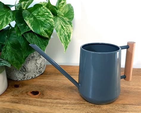 Small Indoor Watering Can House Plant Tools Minimalist Decor Etsy Uk