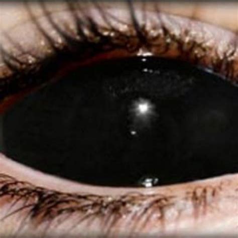Black Scleral Full Eye Coloured Contacts Sabretooth Cheap Colored