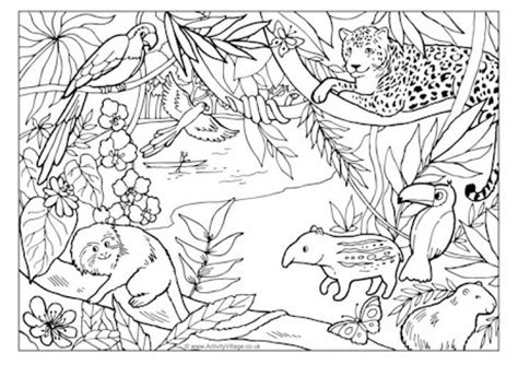 Rainforest And Jungle Animals Coloring Page Free To Print Out