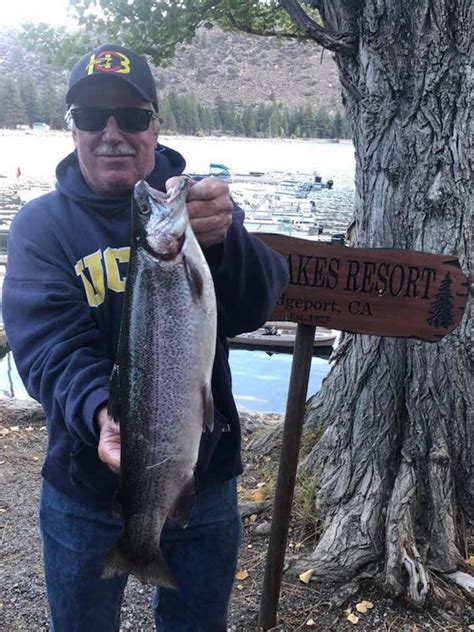 Twin Lakes Bridgeport Fish Report Bridgeport Ca Mono County