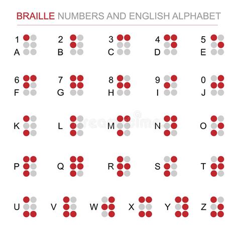English Braille Alphabet Letters With Numbers And Punctuation Vector