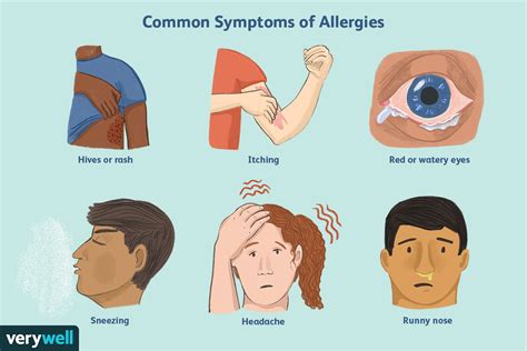 Are Allergies Hereditary Everything You Need To Know