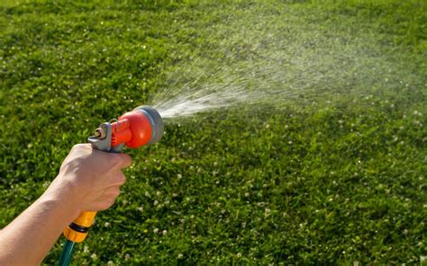 An expert recommendation is to saturate your soil with eight to twelve inches of water. Watering Your Lawn - Lawn Care and Sprinkler Learning Center | Bio Green Outdoor Services