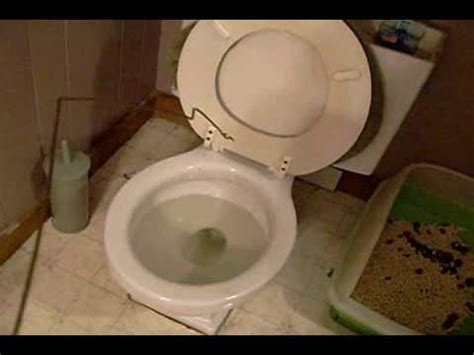 Toilet Trouble A Flooded Bathroom Documentary Youtube