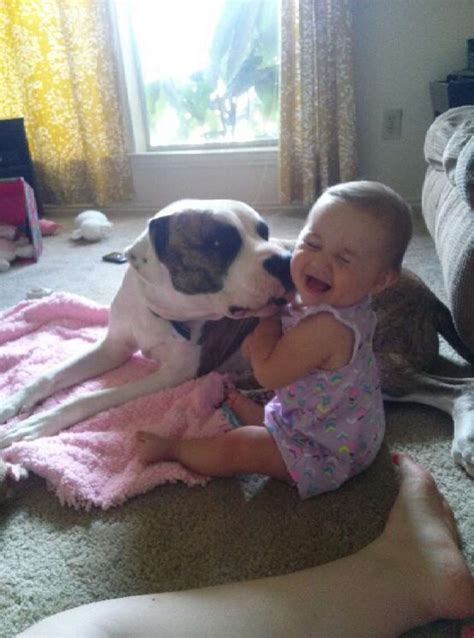 20 Dogs Who Are Totally Watching Out For Their Human Babies The Dodo