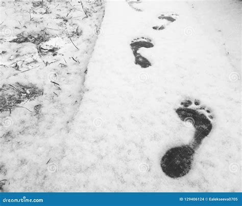 Bare Feet On The Snowy Surface Stock Photo Image Of Snowman System