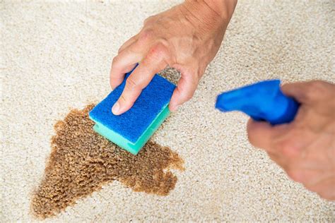 Our Professional Carpet Cleaning Process For Fitted Carpets What To