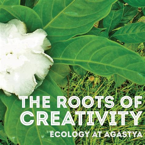 The Roots Of Creativity By Agastya International Foundation Issuu