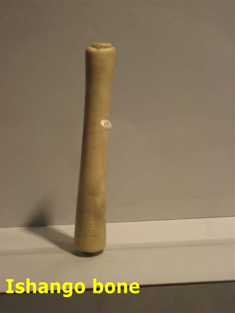 About 32 Thousand Years Ago People Used The Ishango Bone For