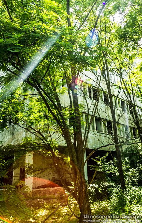Csernobil (ukránul chornobyl) és annak polissya elnevezésű környéke lapos, fenyőerdős terület sok folyóval és mocsárral. Csernobil és Pripjaty - 28 évvel később - Világutazó