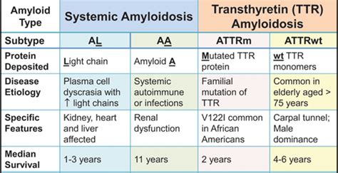 Group3presentation1 Alamyloidosis Wiki