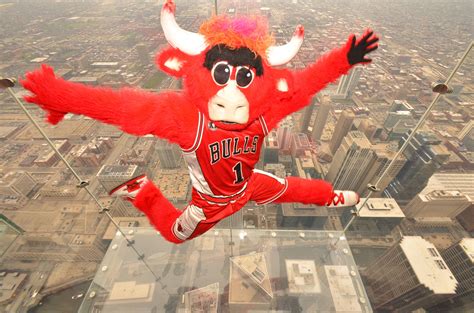 Benny The Bull On The Ledge Benny The Bull Chicago Bulls Mascot