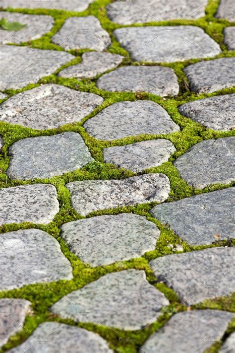 Old Cobblestone Pavement Cobblestone Walkway Grass Driveway