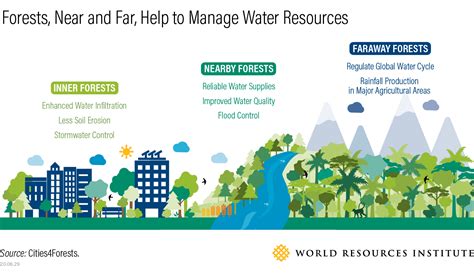 Forests Near Or Far Can Protect Water For Cities Thecityfix