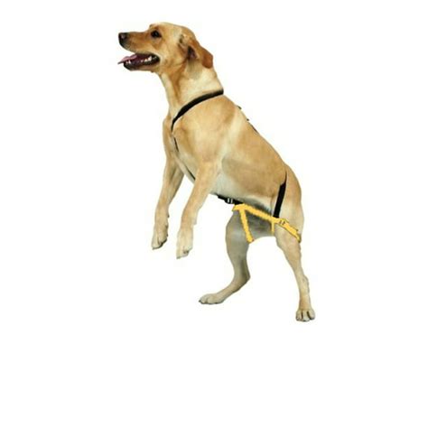 Downtown Pet Supply No Jump Dog Harness For Medium Large Dogs 30 70 Lb