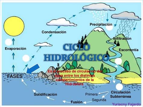 Mapa Mental Del Ciclo Hidrologico