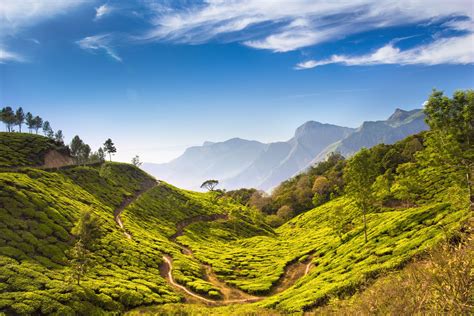 16 Top Tourist Places In Kerala That You Must Visit