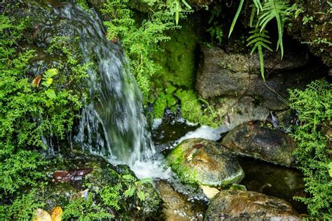 Waterfal On Green Moss And Mountain Stream Stock Image Image Of Flow