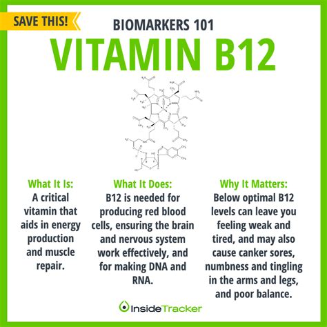 Vitamin B12 How To Reach An Optimized Level For Women